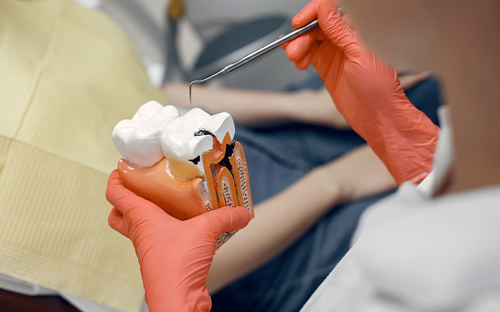 Endodontia